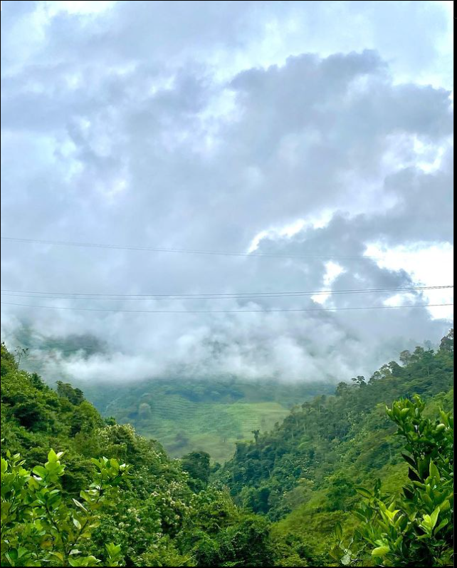 Finca turistica La Selva