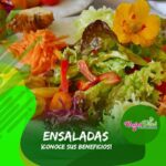 Ensalada Nectar vital