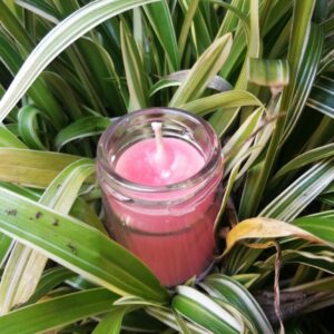 Vela aromática