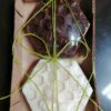 Jabón artesanal y orgánico de ruda-Jabones Artesanales LM - Imagen 2