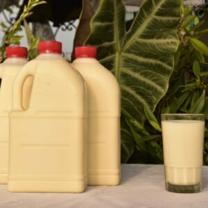 leche de soya-vitalrosa