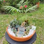 Mini jardin suculentas y captus - Teresita Suculentas