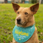 refugio-huellas-de-amor-pereira