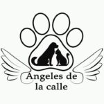angeles de la calle