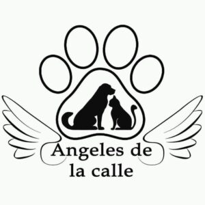 angeles de la calle