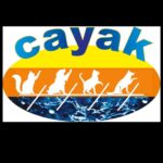 Proyecto Cayak