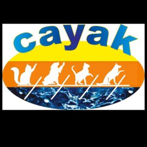 Proyecto Cayak