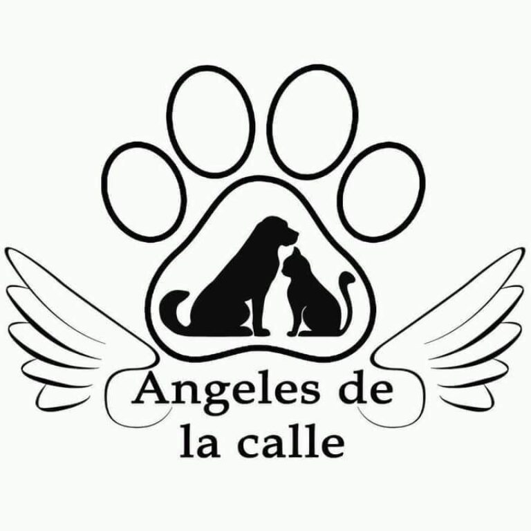 angeles de la calle 768x768