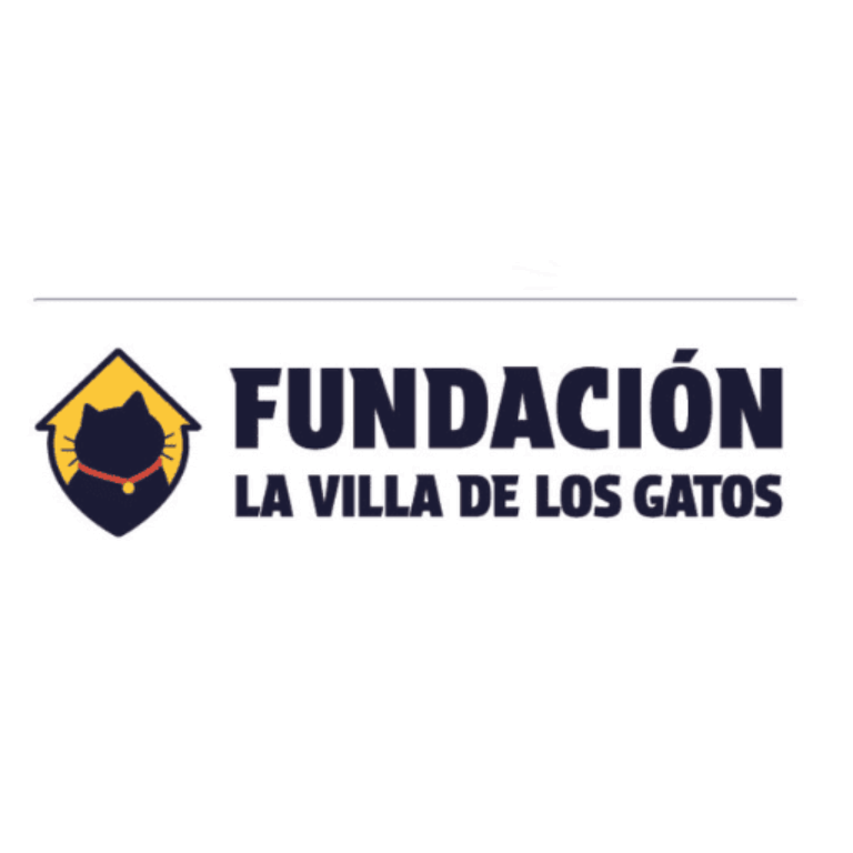 fundacion villa de los.gatos  1 768x768
