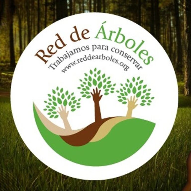 red de arboles1 768x768