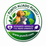 Punto Aliado a Puncli