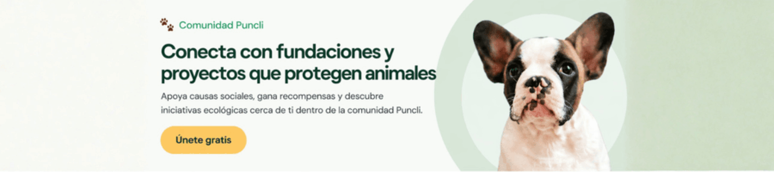 Fundaciones para apoyar