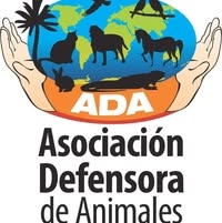 ADA Cartago: Rescate, Adopción y Veterinaria Social – ¡Ayuda a los Animales!