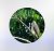 Avistamiento de aves en Cartago con GoagCartago