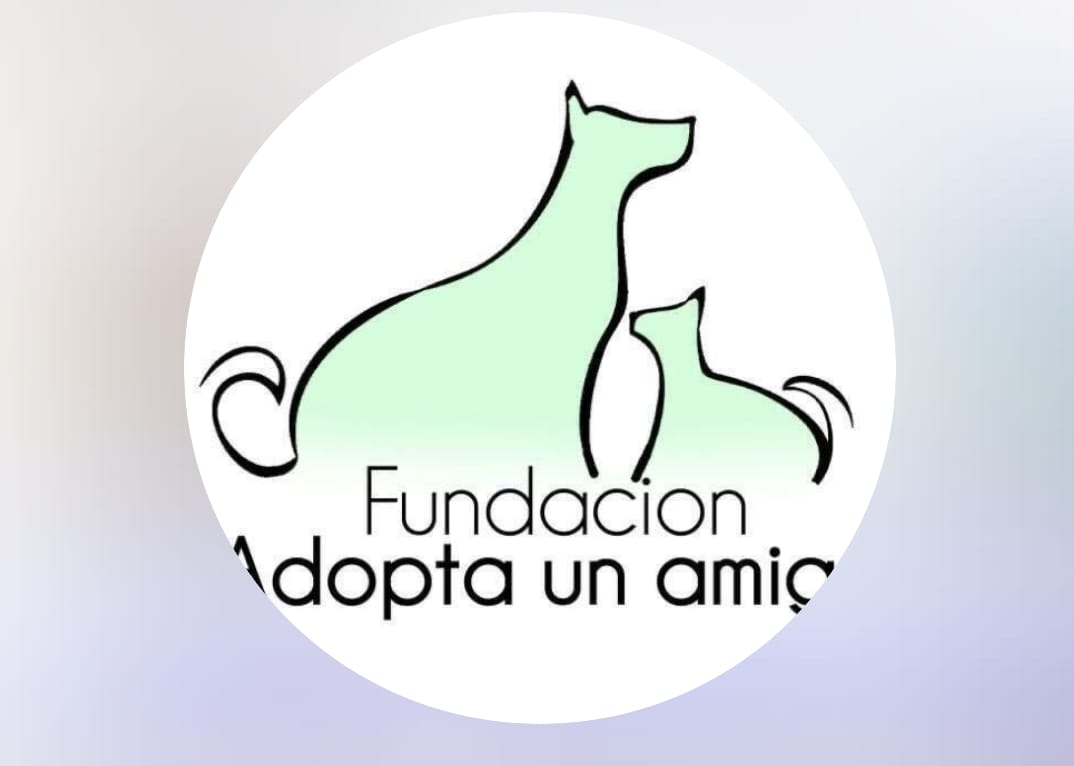 Adopta un Amigo Cartago: Rescate y Adopción Animal – ¡Ayuda y Dona Hoy!