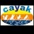 Proyecto Cayak Pereira: Rescate y Protección Animal – ¡Adopta y Dona!