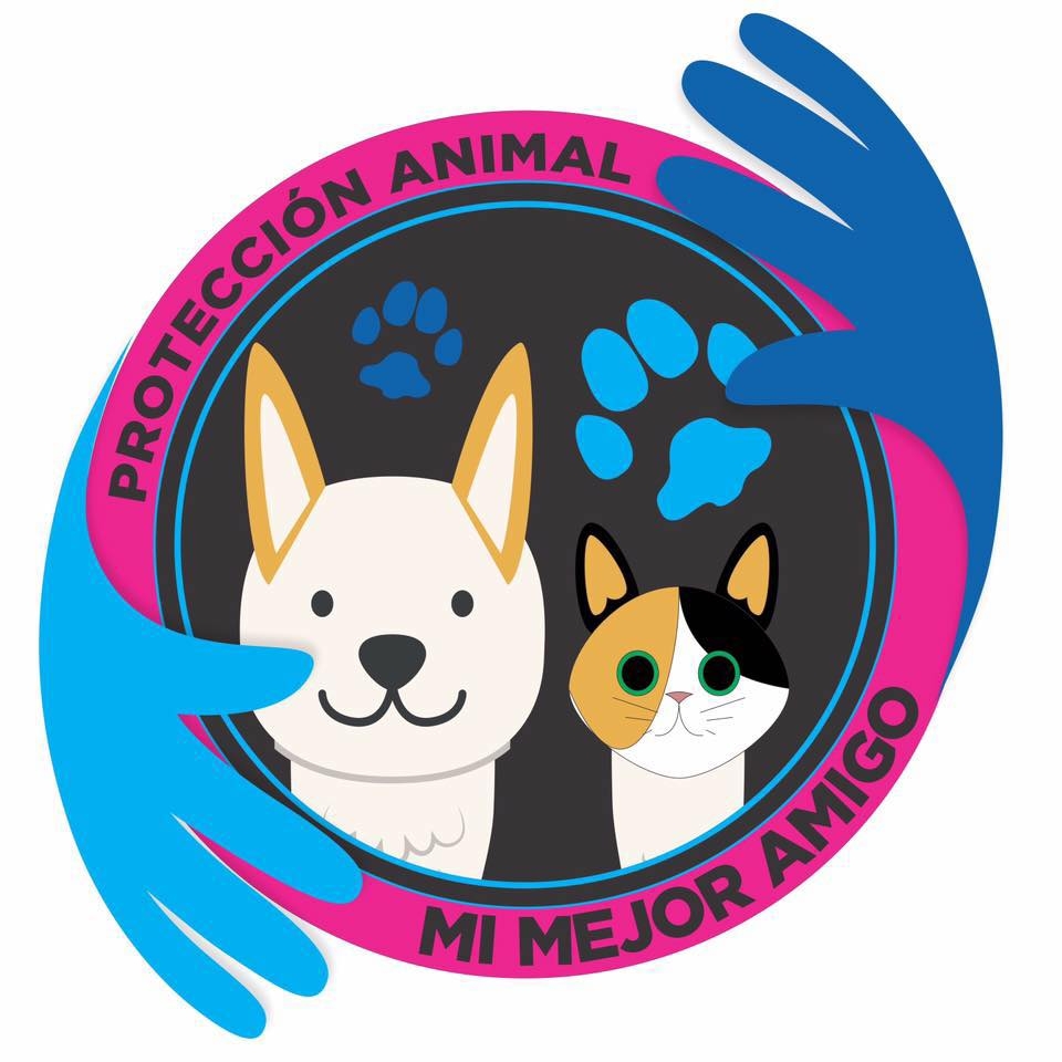 Mi Mejor Amigo Chiquinquirá | Protección y Adopción Animal